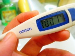 fever thermometer