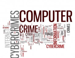 cybercrime 4