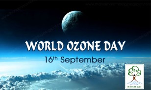 ozone day 2011