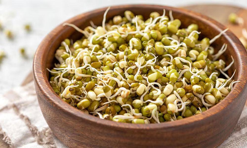 Payar In English മുളപ്പിച്ച പയർ വർഗങ്ങൾ കഴിക്കൂ; ഗുണങ്ങൾ ചെറുതൊന്നുമല്ല | Sirajlive.com