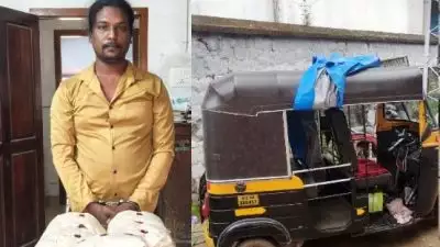 ആവശ്യക്കാരെ യാത്രക്കാരാക്കി ഓട്ടോയില്‍ കഞ്ചാവ് വില്‍പ്പന; നാലേകാല്‍  കിലോ കഞ്ചാവുമായി യുവാവ് പിടിയില്‍