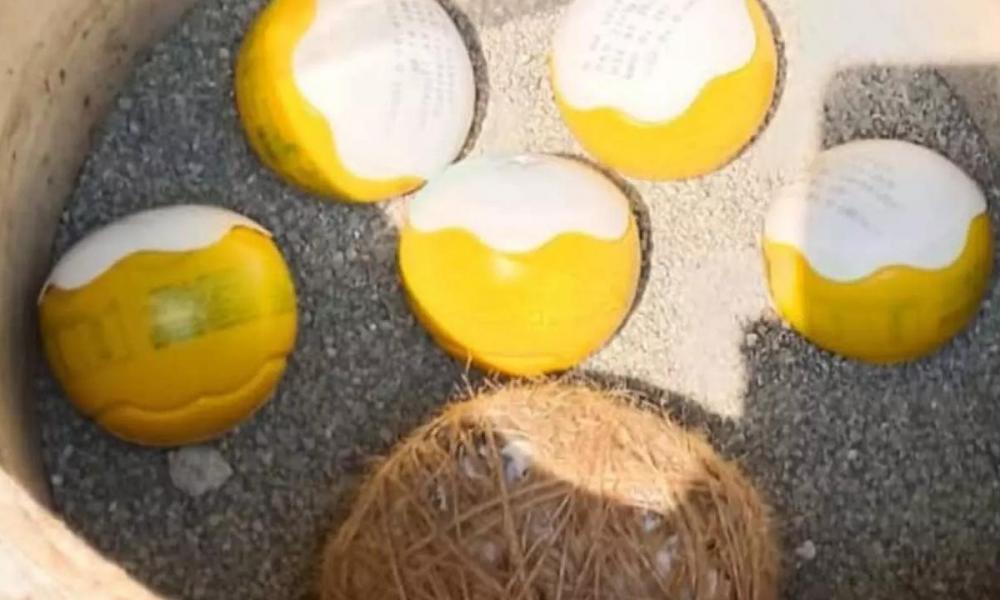 വീണ്ടും ബോംബ് ശേഖരം; കണ്ടെത്തിയത് തലശ്ശേരിയില്‍