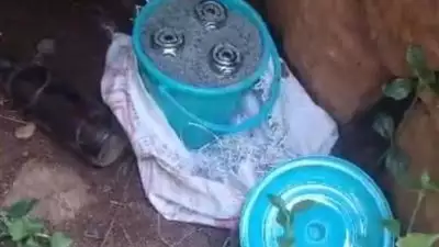 വടകരയില്‍ സ്റ്റീല്‍ ബോംബ് കണ്ടെത്തി