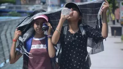 കനത്ത ചൂട്: 12 ജില്ലകളിൽ യെല്ലോ അലർട്ട്; പാലക്കാട് താപനില 40 ഡിഗ്രിയിലേക്ക്