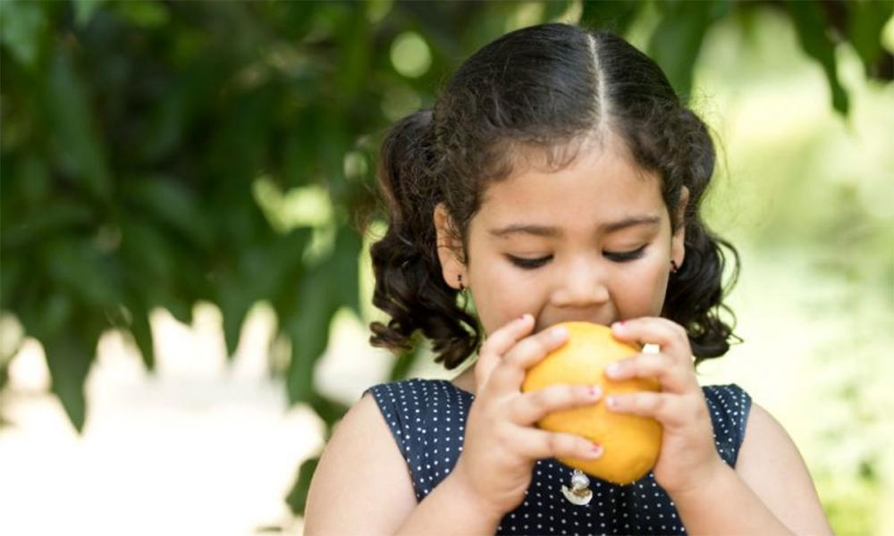 മാങ്ങ കഴിക്കുമ്പോൾ ഈ കാര്യങ്ങൾ ശ്രദ്ധിക്കൂ; അല്ലെങ്കിൽ പണി കിട്ടും