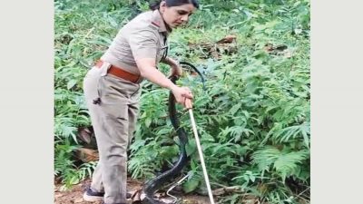 നാടിന് വേണം ഉരഗ ജാഗ്രത