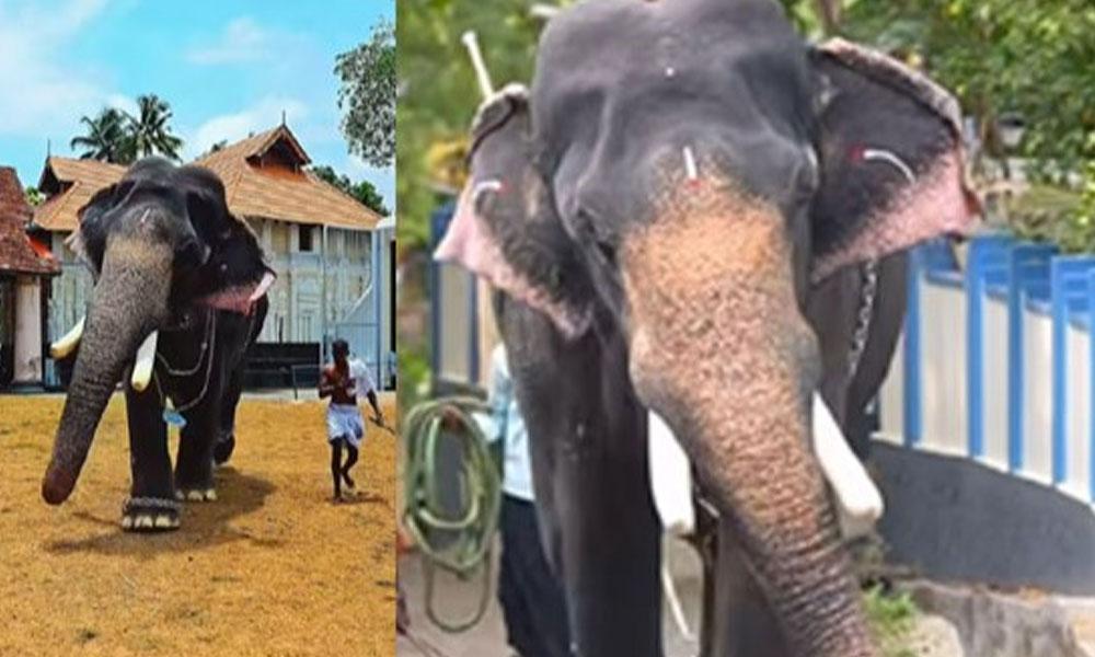 വീ​ണ്ടും ആ​ന​യി​ട​ഞ്ഞു: ഇരിങ്ങാലക്കുട കൂടല്‍മാണിക്യം ക്ഷേത്ര ഉത്സവത്തിനിടെയാണ് സംഭവം
