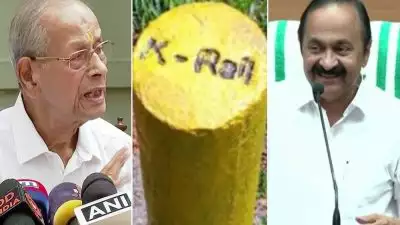 കെ റെയിലിനു പകരം അതിവേഗ റെയില്‍ പദ്ധതി; വി ഡി സതീശനും ഇ ശ്രീധരനും ചര്‍ച്ച നടത്തി