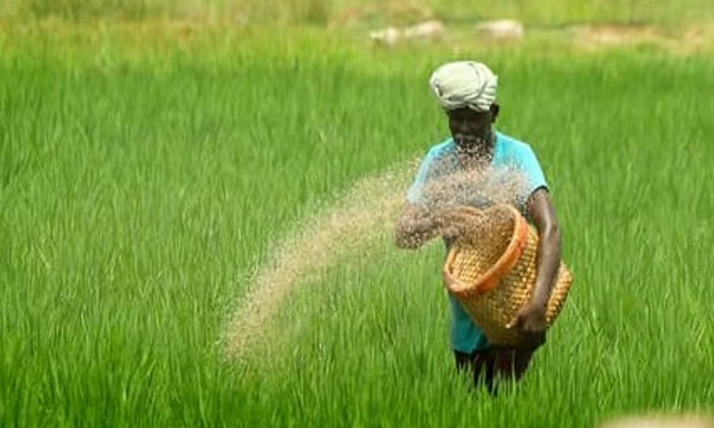 ചിങ്ങം പിറന്നു; കേരളത്തിൽ കർഷക ദിനം