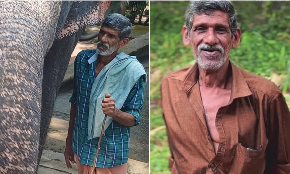 കോന്നിയിൽ ആന പാപ്പാനെ കൊലപ്പെടുത്തി